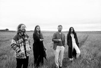 Cools Sveinsson Jurgeleviciute Valtysdottir