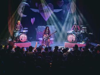 velveteers